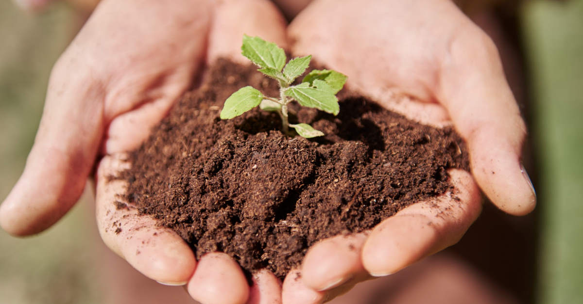 Système alimentaire durable pour les agriculteurs à Cholet - Franck Loiseau 2026